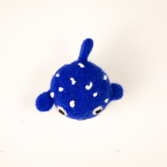 The Wool Pufferfish — A Little Spiky, A Lot of Fun