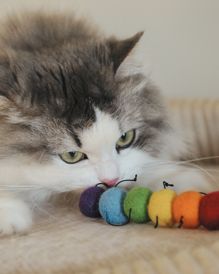 The Wool Rainbow Caterpillar — Bold, Colourful, and Built for Bigger Cats