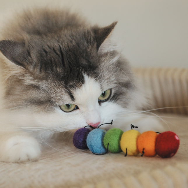 The Wool Rainbow Caterpillar — Bold, Colourful, and Built for Bigger Cats