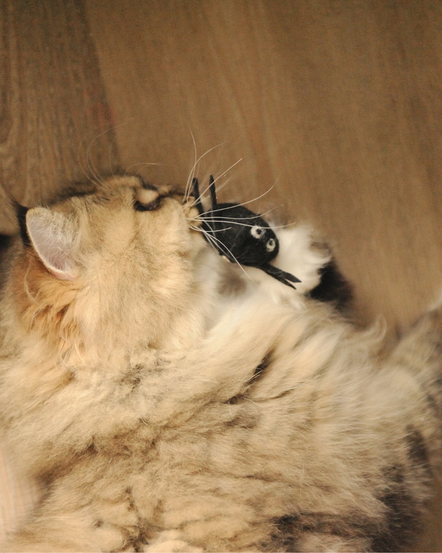 Moricat Moricat Handmade Wool Spider Cat Toy