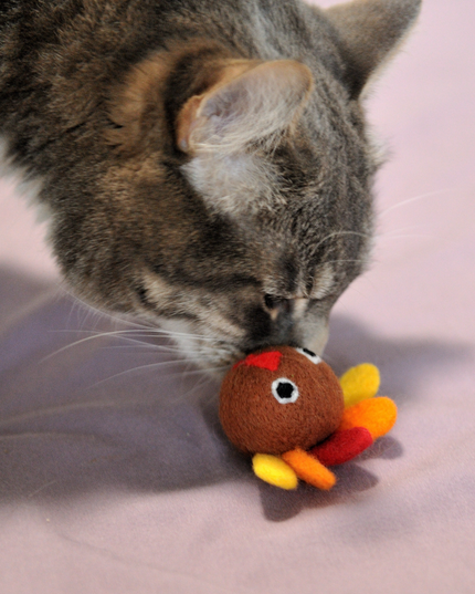 The Wool Turkey — A Thanksgiving Tradition Your Cat Can Actually Enjoy