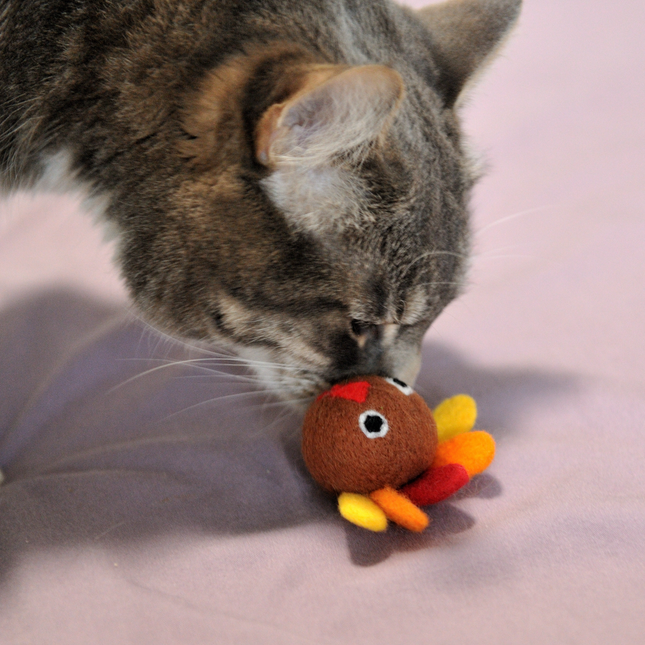 The Wool Turkey — A Thanksgiving Tradition Your Cat Can Actually Enjoy
