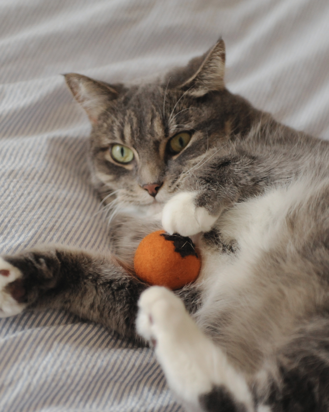 Moricat Handmade Brown Maple Leaf Wool Cat Toy