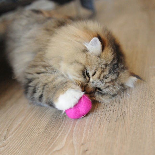 Moricat Handmade Wool Pink Heart Cat Toy