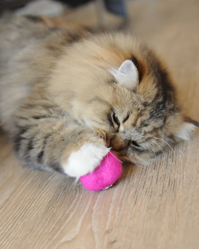 Moricat Handmade Wool Pink Heart Cat Toy