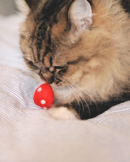Moricat Handmade Wool Mushroom Cat Toy