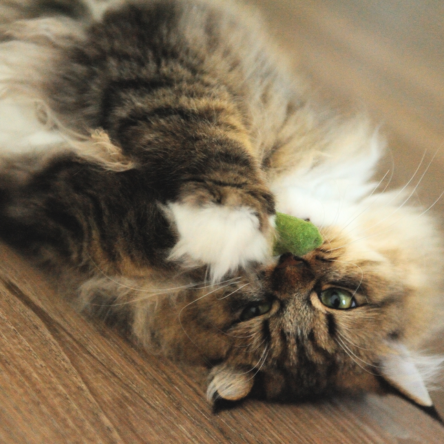 Moricat Handmade Wool Green Peas Cat Toy