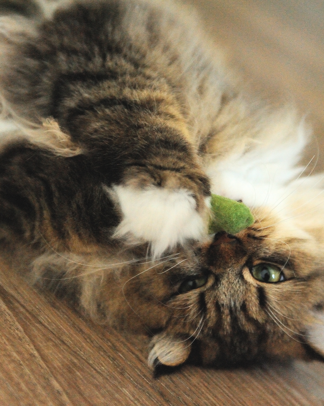 Moricat Handmade Wool Green Peas Cat Toy