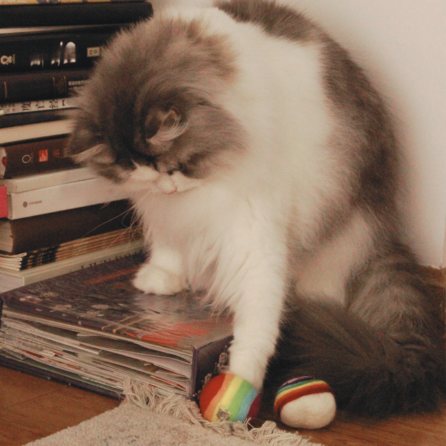 Moricat Handmade Wool Pride Ball Cat Toy