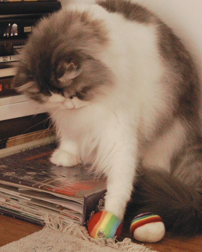 Moricat Handmade Wool Pride Ball Cat Toy