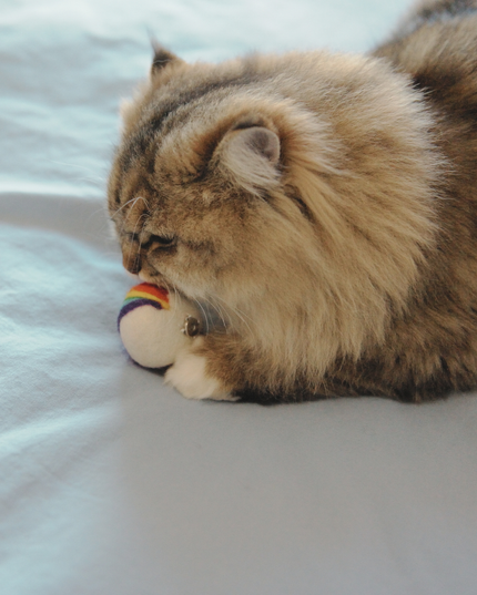 Moricat Handmade Wool Rainbow Heart Cat Toy