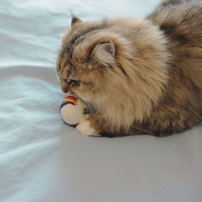 Moricat Handmade Wool Rainbow Heart Cat Toy