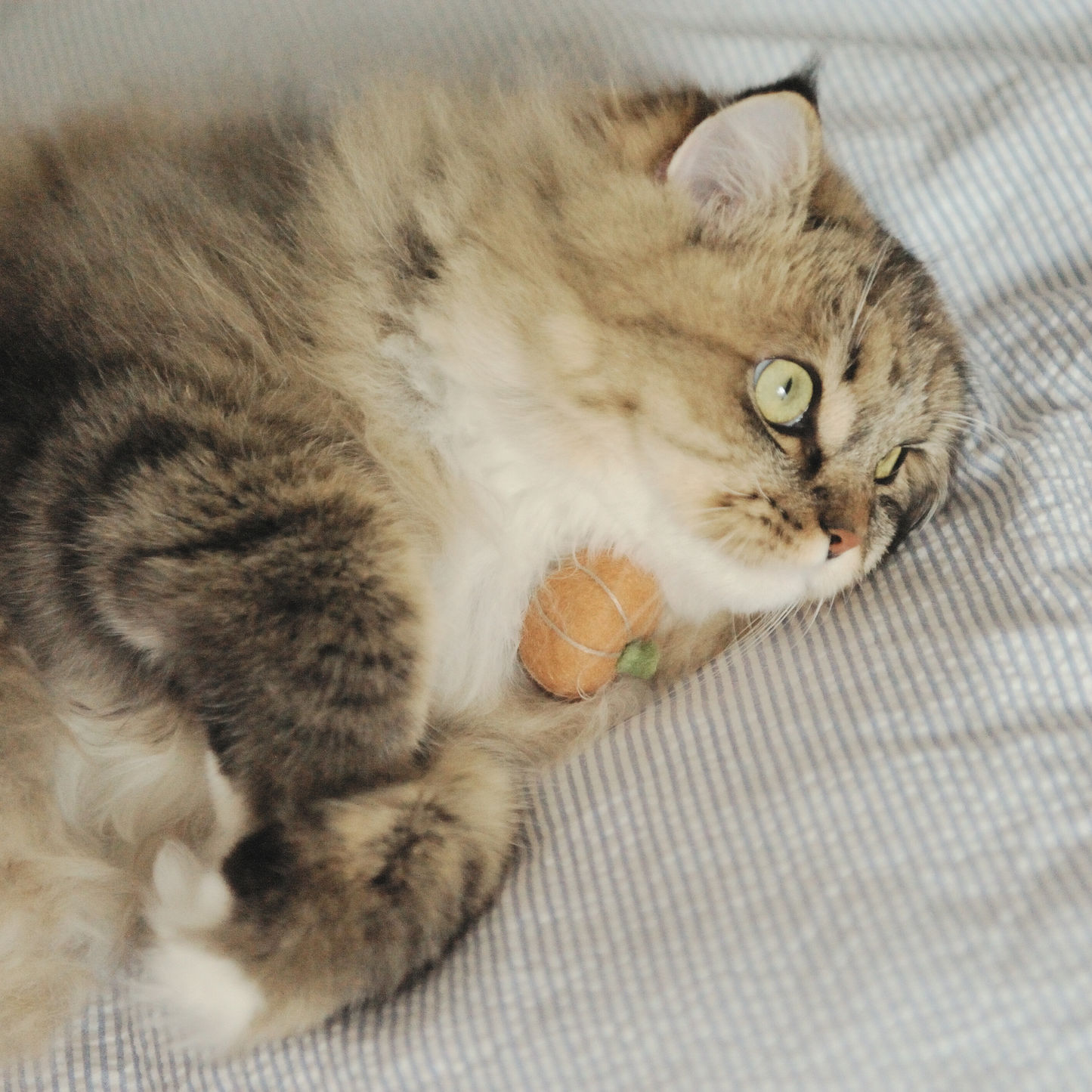 Handmade  Wool Pumpkin Cat Toy