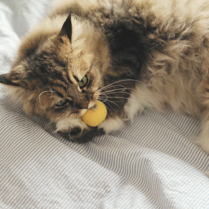 Handmade Wool Emoji Cat Toy – Limited 2025 Edition