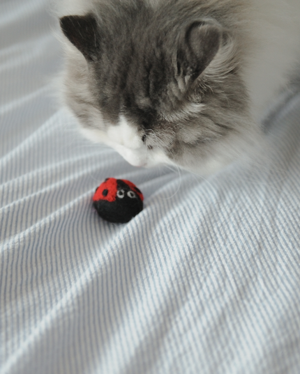 Moricat Handmade Ladybug-Shape Wool Cat Toy