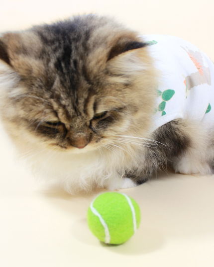 Moricat Handmade Wool Tennis Ball Cat Toy
