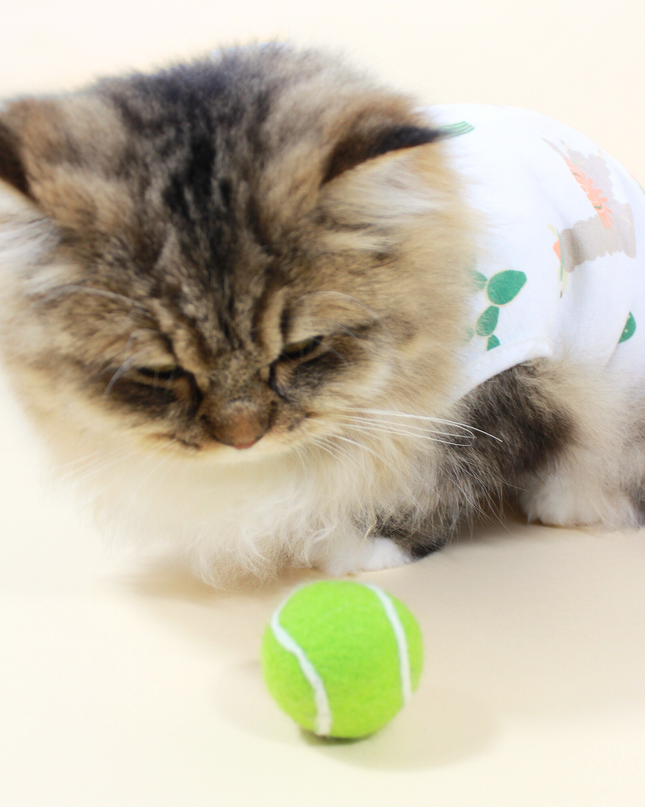 Moricat Handmade Wool Tennis Ball Cat Toy
